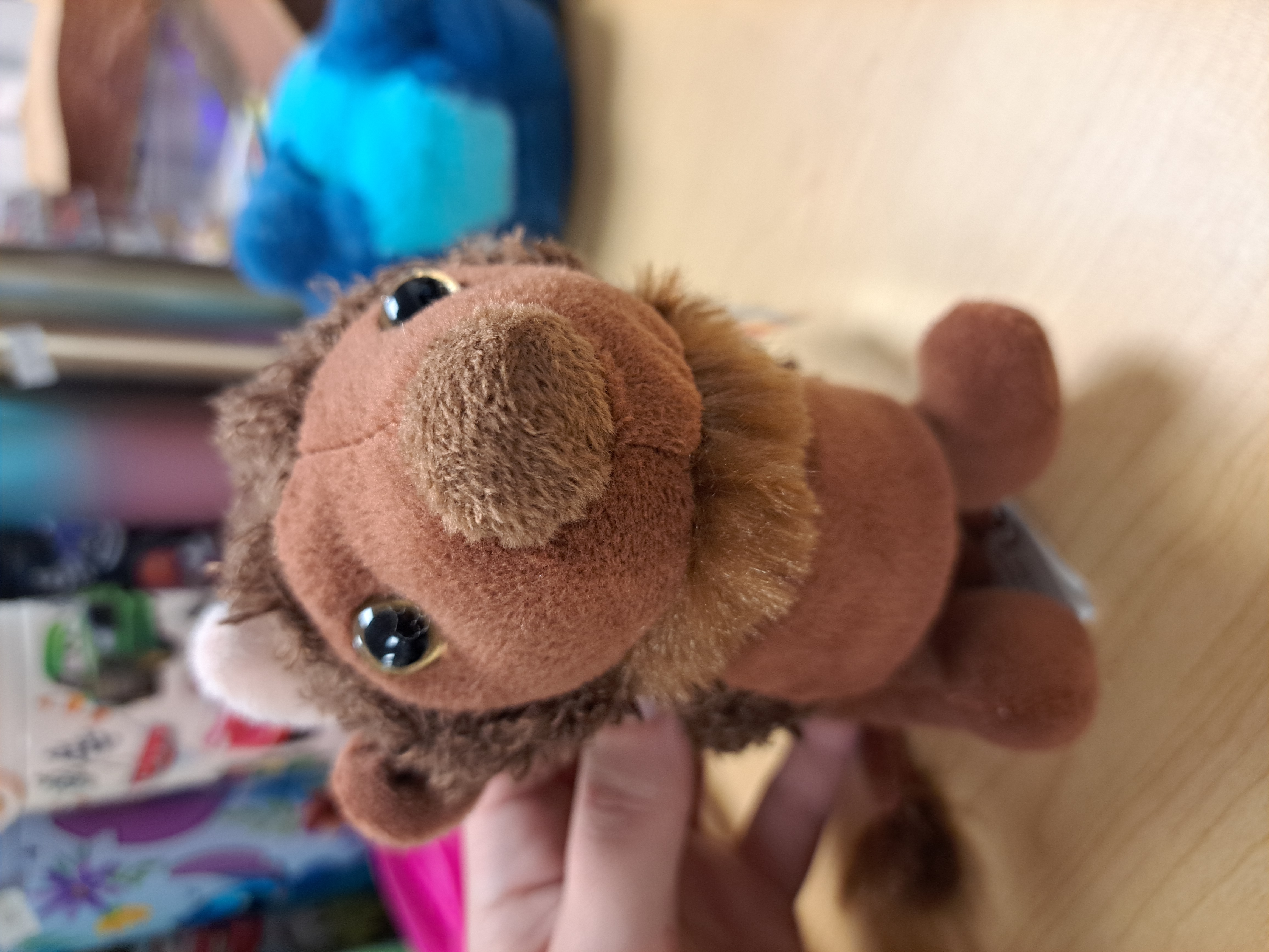 toutou bracelet bison